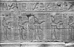 Photo »1082« aus dem Edfu-Projekt.