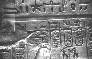 Photo »1183« aus dem Edfu-Projekt.