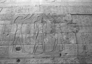 Photo »1498« aus dem Edfu-Projekt.