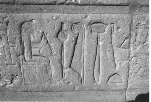Photo »3777« aus dem Edfu-Projekt.