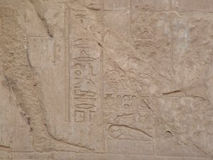 Photo »D05_6776« aus dem Edfu-Projekt.