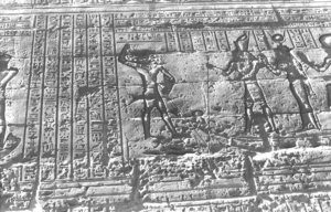 Photo »1417« aus dem Edfu-Projekt.