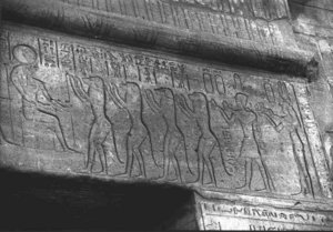 Photo »3161« aus dem Edfu-Projekt.