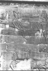 Photo »403« aus dem Edfu-Projekt.