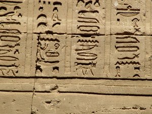 Photo »D05_1408« aus dem Edfu-Projekt.