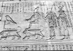 Photo »1465« aus dem Edfu-Projekt.