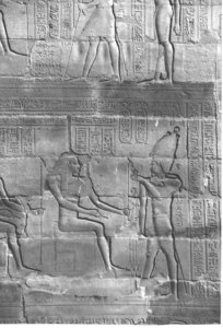Photo »4126« aus dem Edfu-Projekt.