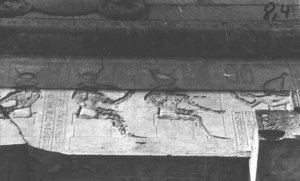 Photo »519« of the Edfu-Project.