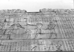Photo »1475« aus dem Edfu-Projekt.