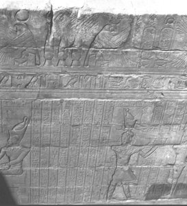 Photo »3060« aus dem Edfu-Projekt.