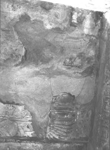 Photo »3255« aus dem Edfu-Projekt.