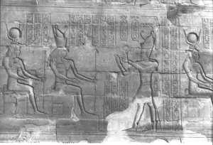 Photo »359« aus dem Edfu-Projekt.
