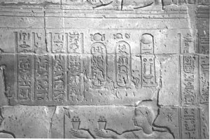 Photo »4201« aus dem Edfu-Projekt.