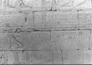 Photo »681« of the Edfu-Project.
