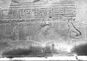 Photo »1991« aus dem Edfu-Projekt.