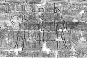 Photo »279« aus dem Edfu-Projekt.