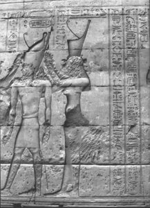 Photo »3611« aus dem Edfu-Projekt.