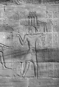 Photo »4434« aus dem Edfu-Projekt.