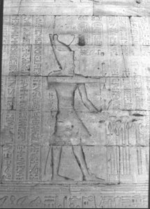 Photo »806« of the Edfu-Project.