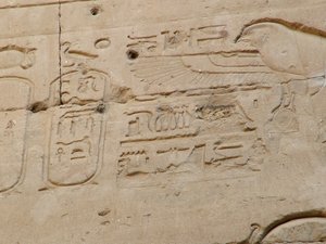 Photo »D05_2571« aus dem Edfu-Projekt.