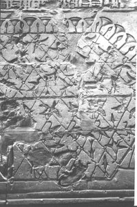 Photo »1286« aus dem Edfu-Projekt.