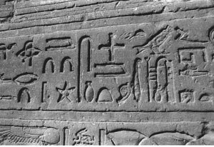 Photo »3921« aus dem Edfu-Projekt.