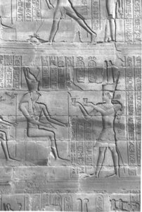 Photo »4120« aus dem Edfu-Projekt.