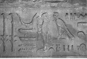 Photo »3808« aus dem Edfu-Projekt.