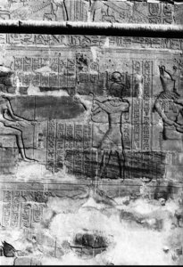 Photo »471« aus dem Edfu-Projekt.