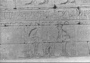 Photo »679« of the Edfu-Project.