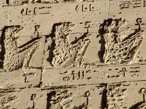 Photo »D05_2560« aus dem Edfu-Projekt.