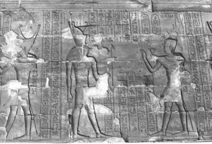 Photo »262« aus dem Edfu-Projekt.