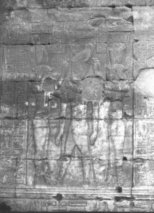 Photo »3129« of the Edfu-Project.