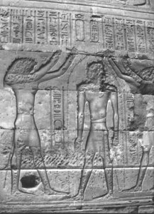 Photo »3608« aus dem Edfu-Projekt.