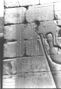 Photo »3691« of the Edfu-Project.