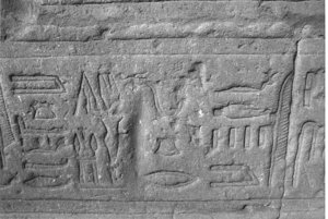 Photo »3783« aus dem Edfu-Projekt.