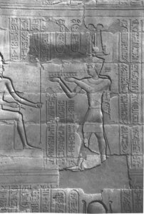 Photo »4109« aus dem Edfu-Projekt.