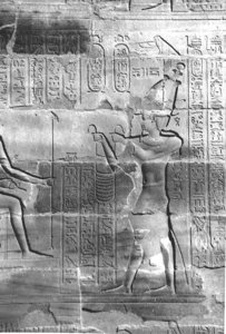 Photo »4136« aus dem Edfu-Projekt.