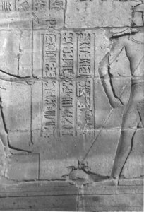 Photo »4425« aus dem Edfu-Projekt.
