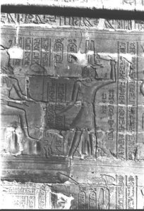 Photo »448« aus dem Edfu-Projekt.