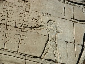 Photo »D03_0139« aus dem Edfu-Projekt.