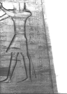 Photo »2902« aus dem Edfu-Projekt.