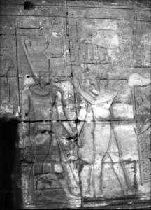 Photo »2995« of the Edfu-Project.