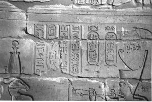 Photo »4081« aus dem Edfu-Projekt.