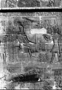 Photo »474« aus dem Edfu-Projekt.