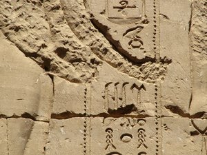 Photo »D05_1450« aus dem Edfu-Projekt.