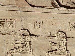 Photo »D05_1697« aus dem Edfu-Projekt.