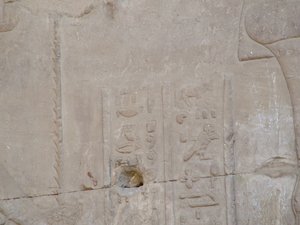 Photo »D05_5198« of the Edfu-Project.