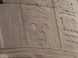 Photo »D05_6993« of the Edfu-Project.