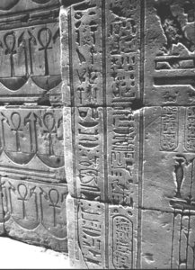 Photo »3620« aus dem Edfu-Projekt.